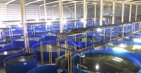 德清漁業(yè)養(yǎng)殖尾水治理成果顯著，再獲國家級專家關(guān)注